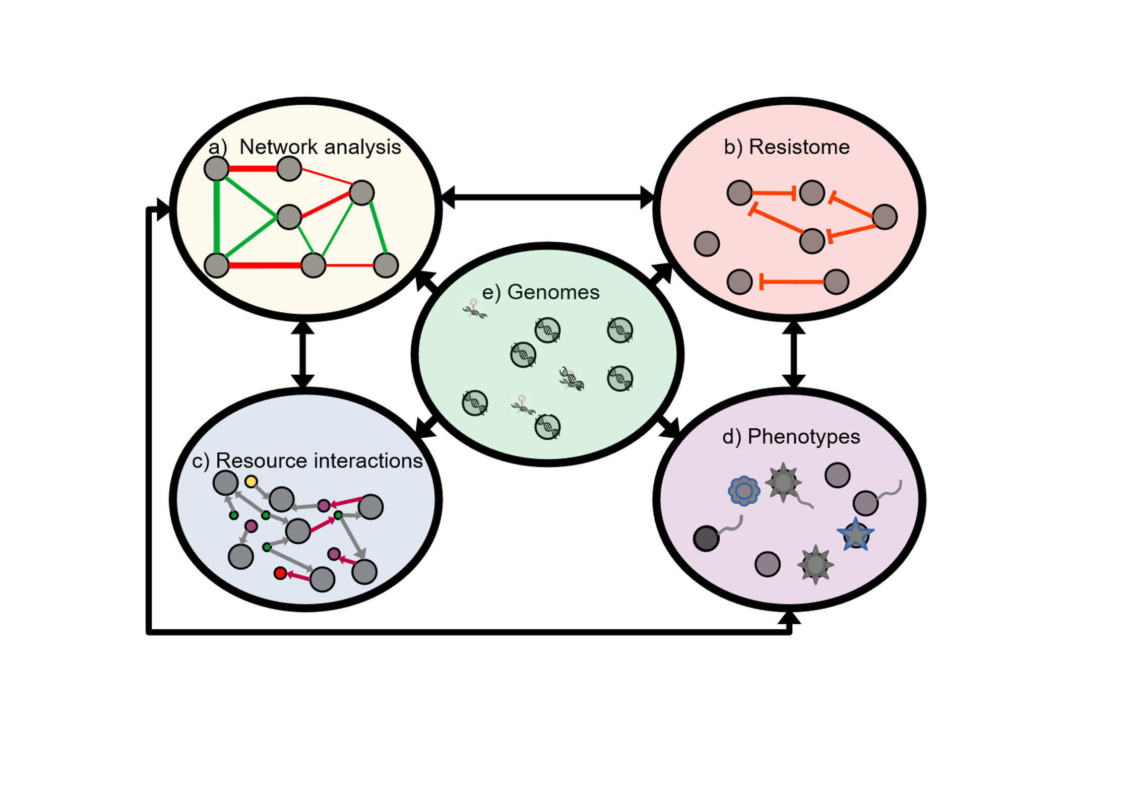 Project Overview